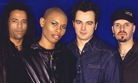 Skunk Anansie – Animal (2025)